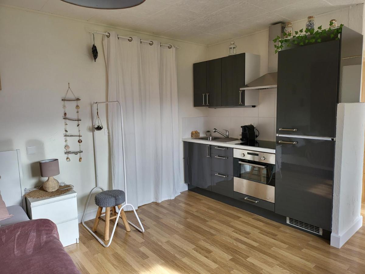 Studio Des Fontanettes Miège Eksteriør billede