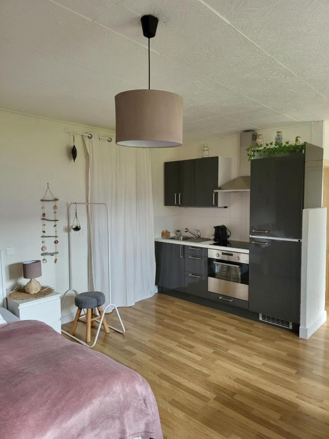 Studio Des Fontanettes Miège Eksteriør billede